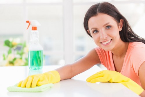 Professional one off cleaning for homes in Finchley