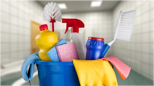 Professional carpet cleaning for a Finchley home interior