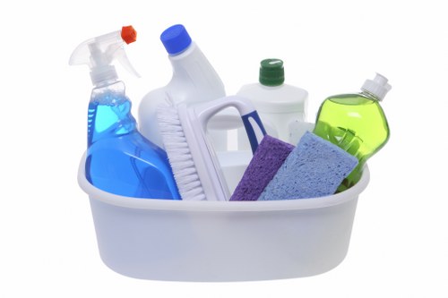 Cleaner inspecting a workspace before beginning tasks