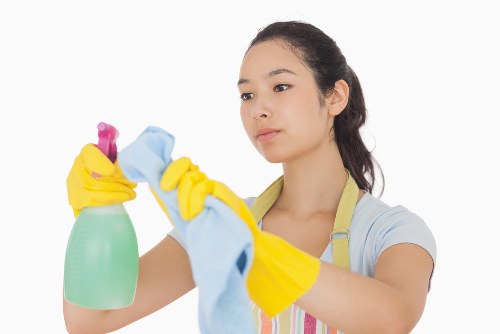 Professional cleaner using safe electrical equipment
