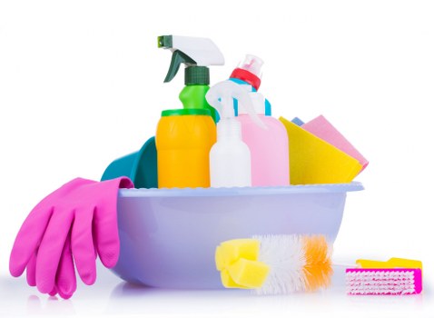 Freshening a Finchley home after repeated pet accidents