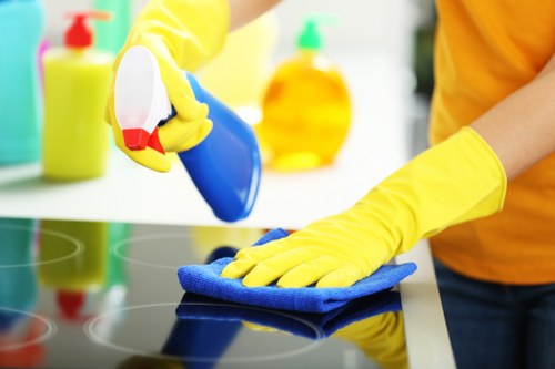 Regular home cleaning service for Finchley residents