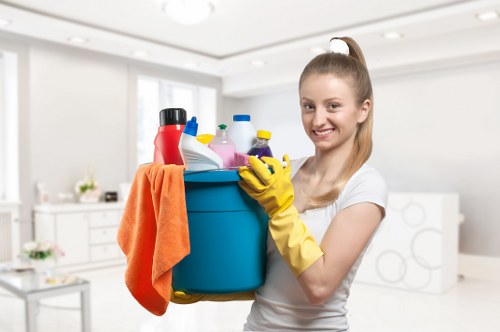 Hot water extraction cleaning for a carpeted living room in Finchley