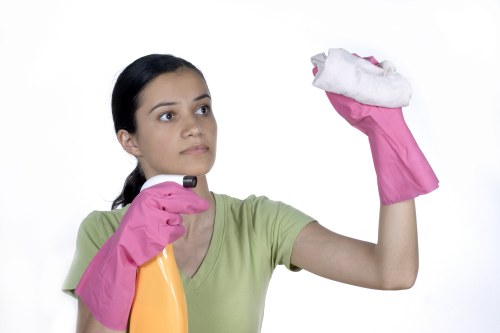Finchley cleaners inspecting surfaces as part of a safety check