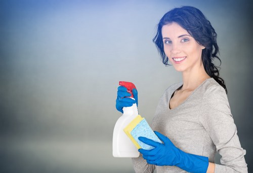 Deep cleaning of a sofa in a Finchley property