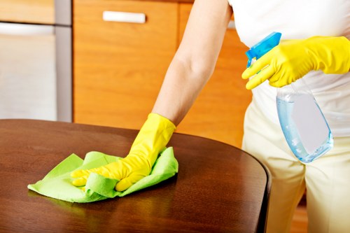 Finchley domestic cleaning service covering nearby North London areas